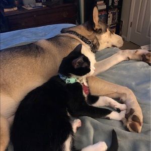 Meet your Posher, Susan